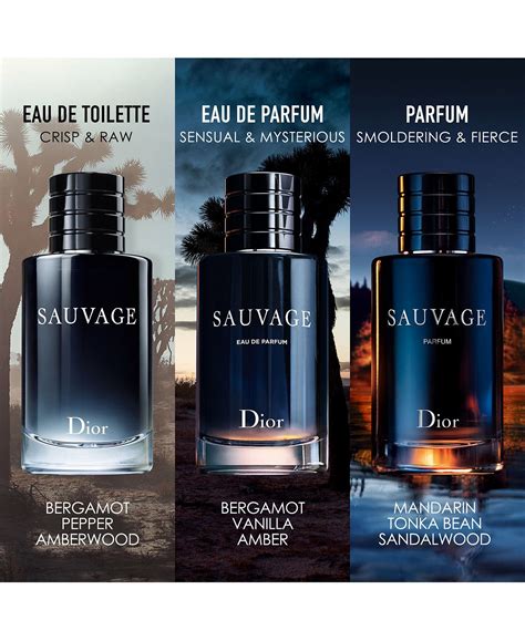 Macy's sauvage perfume